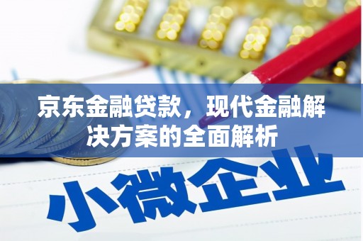 汝南京东金融贷款，现代金融解决方案的全面解析