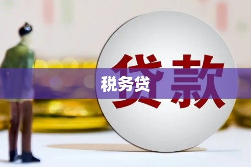姚安税务贷