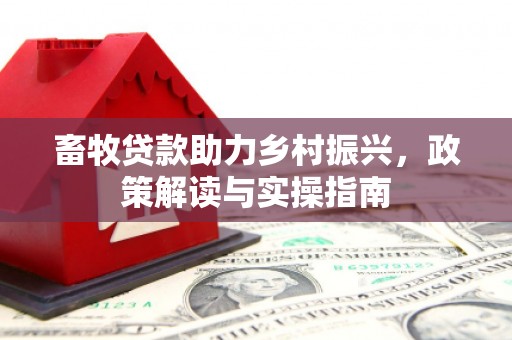 大湖畜牧贷款助力乡村振兴，政策解读与实操指南