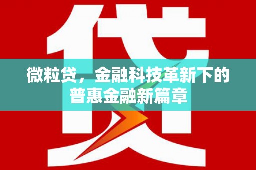 新乐微粒贷，金融科技革新下的普惠金融新篇章
