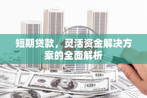 萨嘎短期贷款，灵活资金解决方案的全面解析