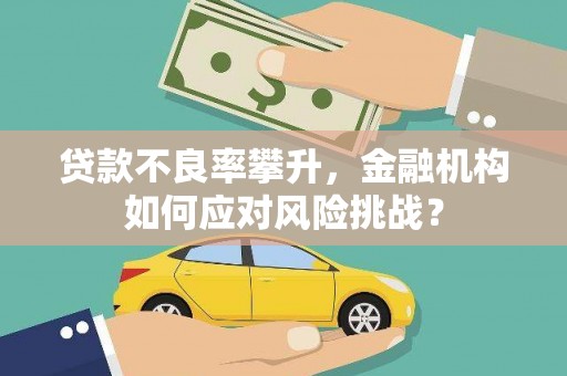 中宁贷款不良率攀升，金融机构如何应对风险挑战？