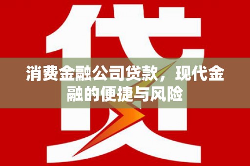 丹阳消费金融公司贷款，现代金融的便捷与风险