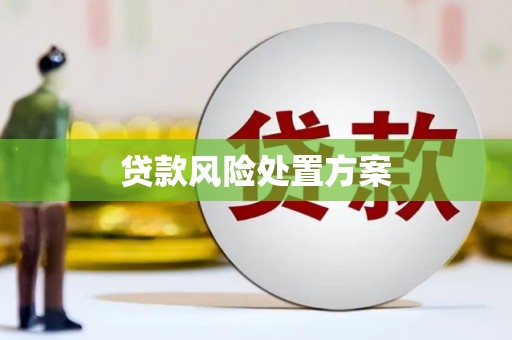 崖州贷款风险处置方案