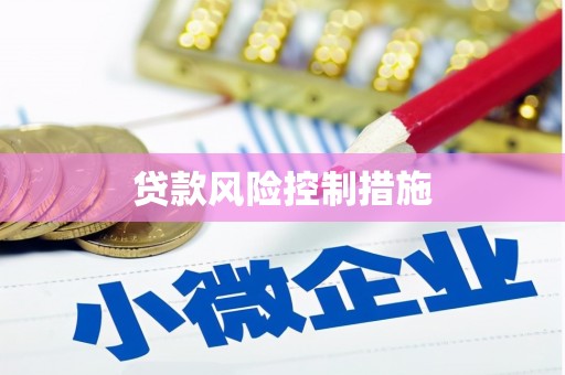 大甲贷款风险控制措施