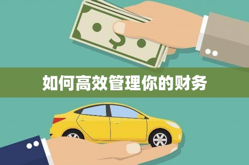 寻甸如何高效管理你的财务