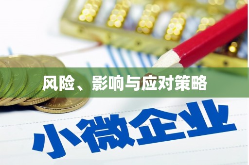 石排风险、影响与应对策略