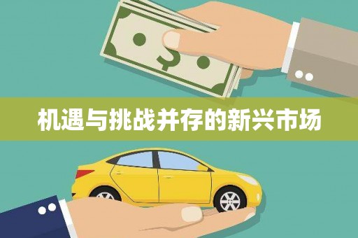 蔡甸机遇与挑战并存的新兴市场