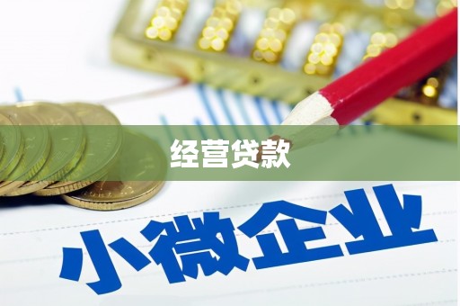 西丰经营贷款