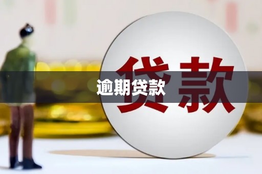镇雄逾期贷款