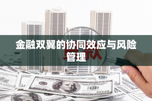 于洪金融双翼的协同效应与风险管理