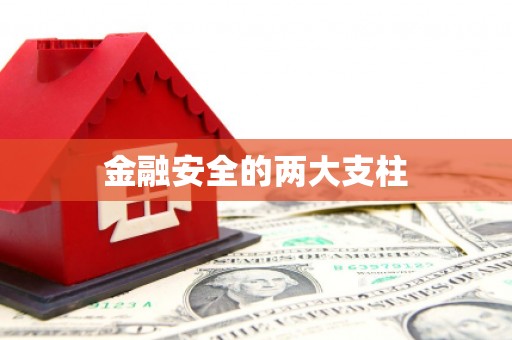 奎文金融安全的两大支柱