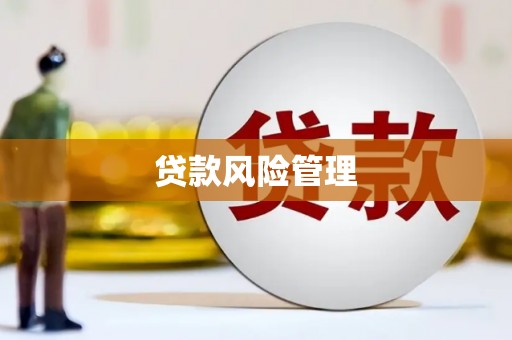 滨海贷款风险管理