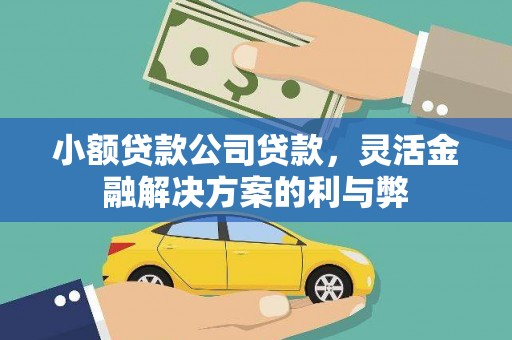 凌源小额贷款公司贷款，灵活金融解决方案的利与弊