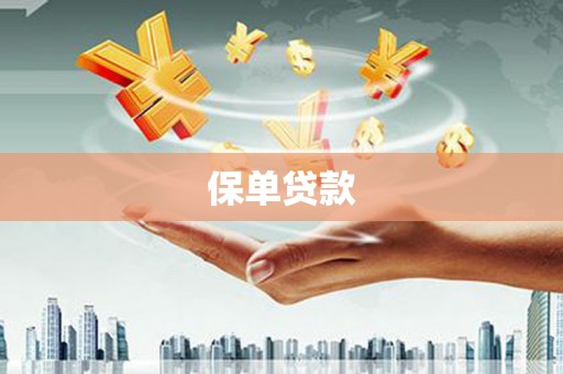 美溪保单贷款 美溪保单贷款